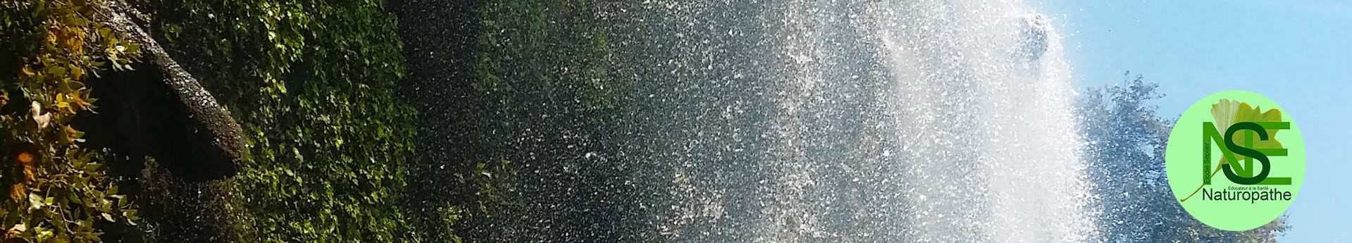 Elodie Septier Naturopathe: « Prenez soin de vous. » - Massages "Tui Na" et "Ayurvédique Abhyanga"